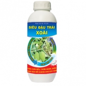 SIÊU ĐẬU TRÁI XOÀI