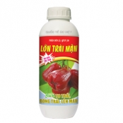 LỚN TRÁI MẬN