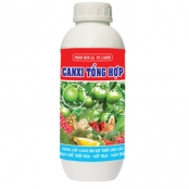 CANXIBO TỔNG HỢP