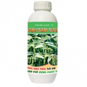 ĐẬU TRÁI TIÊU