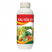 KALI SỮA